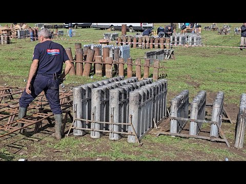 🇮🇹 San Trifone 2025 – Senatore Fireworks “Gara Pirotecnica Diurna” (10 Novembre)