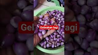 Download lagu ajur#miris #pulangkampung #mantantkwtaiwan #jualandirumah #brambang mp3