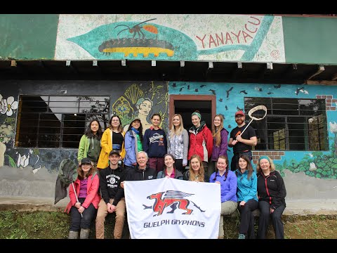 The Yanayacu Expedition • Field Entomology in Ecuador (2019)