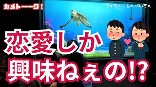【本音】「人間の女性は恋愛しか興味ねぇのか!?」クラッシュが思わずツッコんだ【東京ディズニーシー・タートルトーク】
