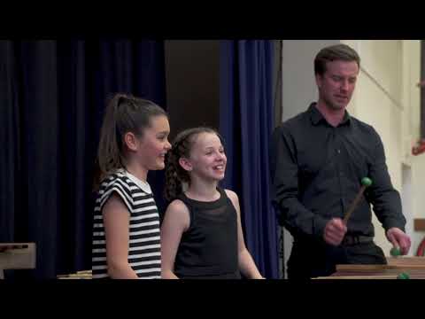 Parry Gripp - Neon Pegasus - Marimba Cover