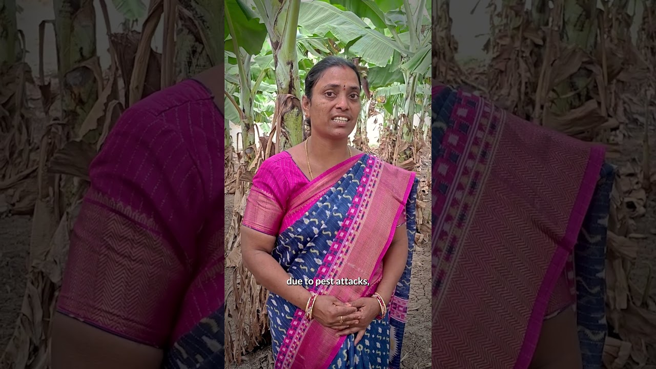 A Farmer’s Story of Resilience and New Possibilities