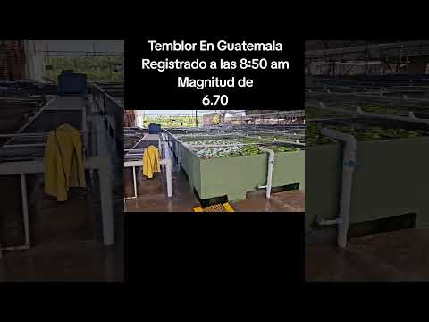 Temblor En Guatemala, El dia Viernes 17/07/2026#En Tiquisate, Escuintla, suscribete👍