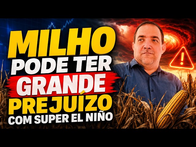 Milho pode ter grande prejuízo com super El Niño.