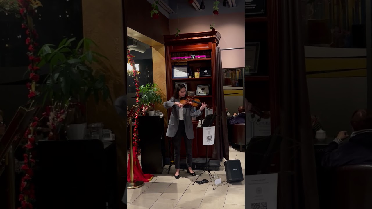 Promotional video thumbnail 4 for Sofia Sednef Violin