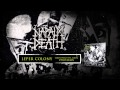 NAPALM DEATH - Leper Colony (ALBUM TRACK)