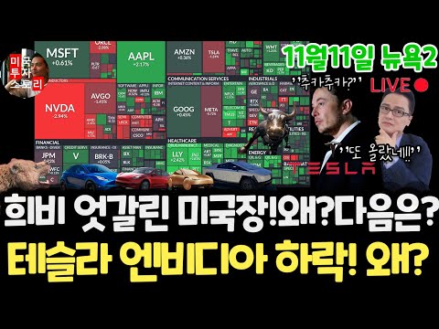 미국주식시황/3일 연속상승이유? 테슬라 엔비디아 메타 팔란티어 하락!왜? 구글 애플 아마존 마이크로소프트아이온큐 리게티 AMD 브로드컴 오라클 코어위브 UNH LLY 노보 네비우스