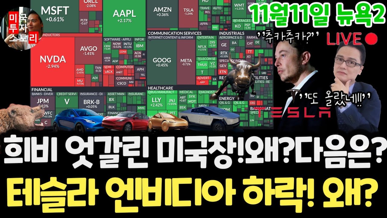 미국주식시황/3일 연속상승이유? 테슬라 엔비디아 메타 팔란티어 하락!왜? 구글 애플 아마존 마이크로소프트아이온큐 리게티 AMD 브로드컴 오라클 코어위브 UNH LLY 노보 네비우스