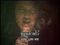เสือ ฮันนี่ ภัสสร