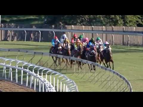 Belgarion - WSB 1900 (Gr 2)