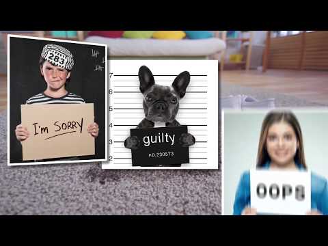 Pure Clean - Customer Success Story