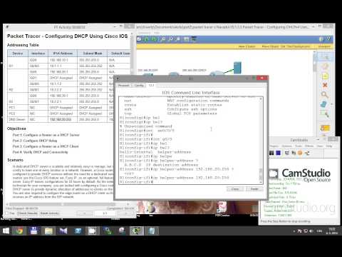 (OLD) CCNA 2 Packet Tracer Activity 10.1.3.3 solution