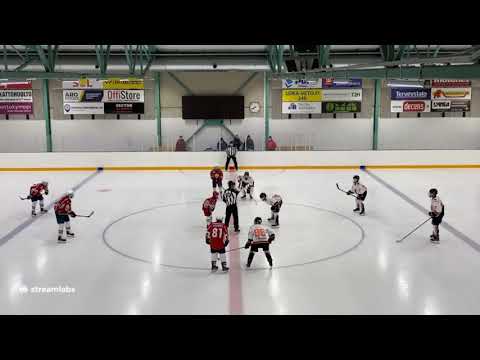EVU/Pu- Kjt-Haukat Blue 16.11.2020 U14 AAA
