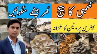 Get Mushrooms seed | Mushroom spawn | How to get mushrooms spawn at home | Dr. Jamil Shafi