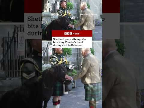 Shetland pony tries to bite King Charles as he arrives for summer holiday at Balmoral. #BBCNews