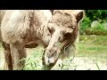 Rhode Island PBS Commercials May 11 2023