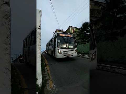 Linha → T038 RIBEIRA - SÃO FRANCISCO - RODOVI/JOÃO PAULO