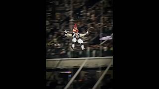 Other Mascots + This Mascot