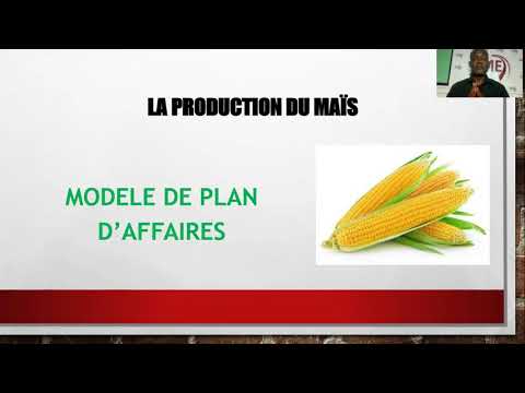 , title : 'BUSINESS PLAN pour la culture du maïs'