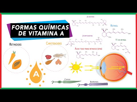 Vitamin A - Retinoids and carotenoids [provitamin A and preformed vitamin A] | Biochemistry