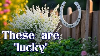 So-called Superstitions To Find In Rural Britain