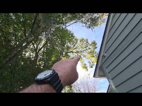 Tree Trimming & Hazard Removal in Jacksonville