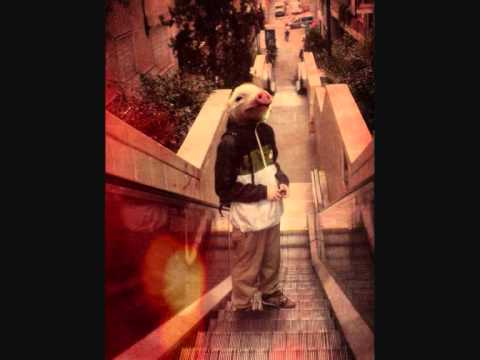 kubec, dany -  furt za moju bandu