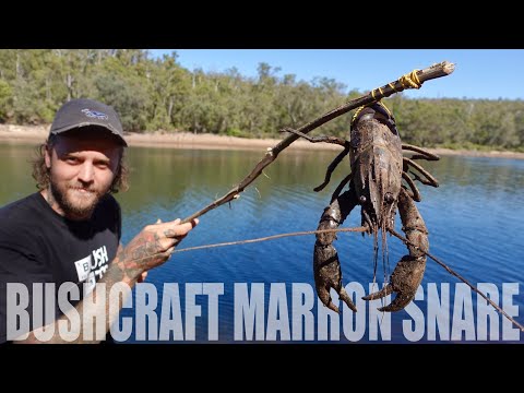 Bushcraft Marron Snare | Hunting Marron (Freshwater Crayfish, Crawfish, Crawdad)