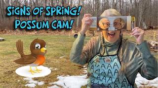 SIGNS OF SPRING! The First Robin! The First Thunderstorm! The First Possum Cam Night Visitors!