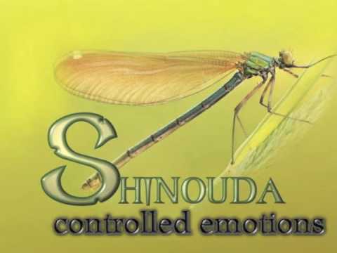 Shinouda - Allrounder (2011)