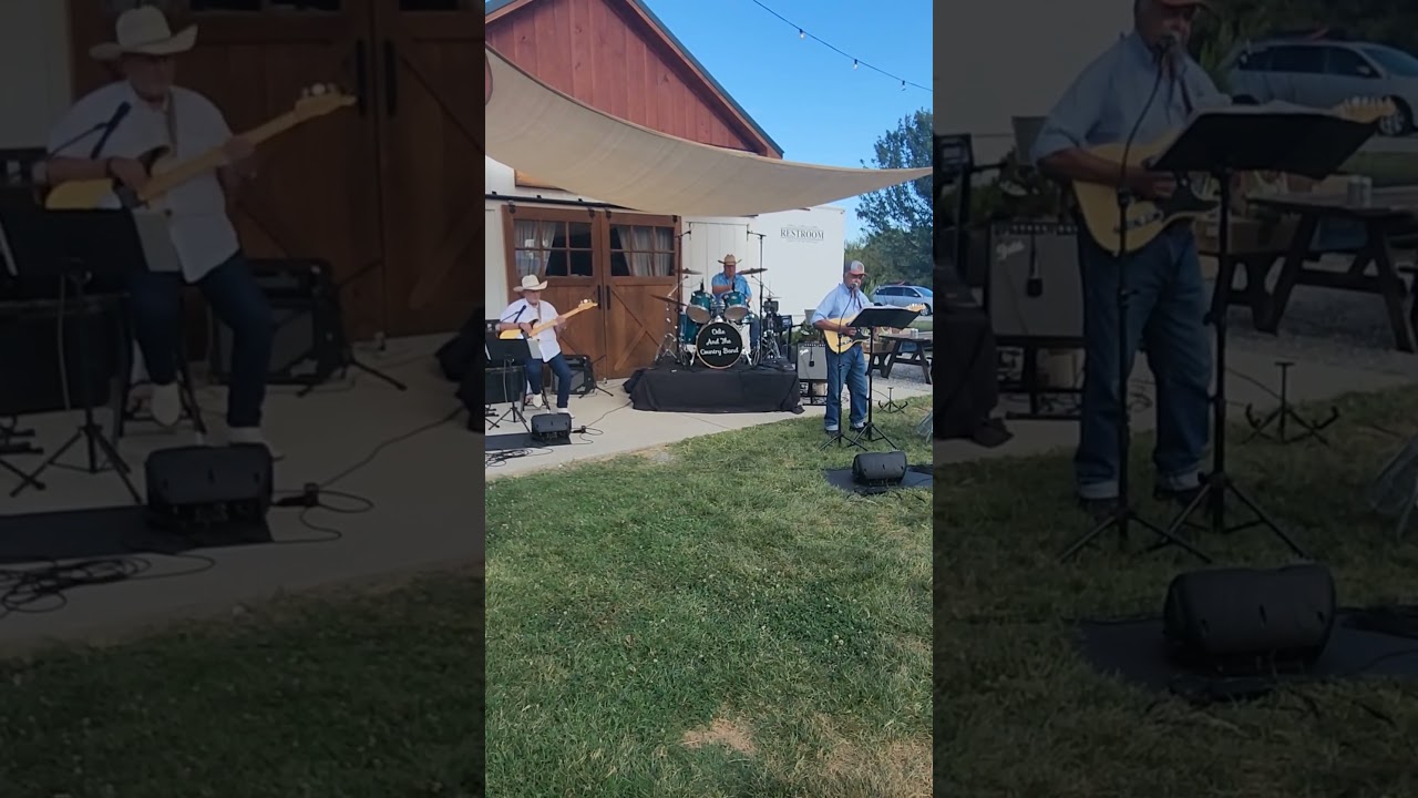 Promotional video thumbnail 6 for Odie And The Country Band