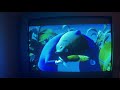 Opening To Bambi DVD 2005