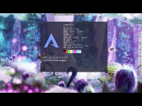 ArcoLinux : 324 use asciinema to show what is going on in your terminal
