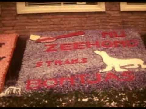 25 jaar dolfijne Bloemendagen Limmen 1977