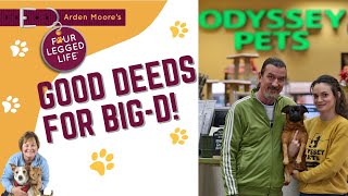Meet Odyssey Pets - Dallas, TX   #petretail #dogboarding #holisticpetcare