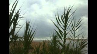 The first of Autumn - Enya.