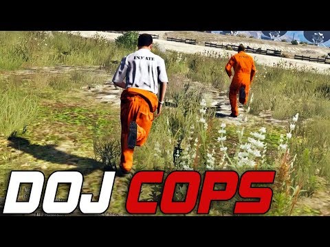 Dept. of Justice Cops #290 - Orange Is the New Black (Criminal)