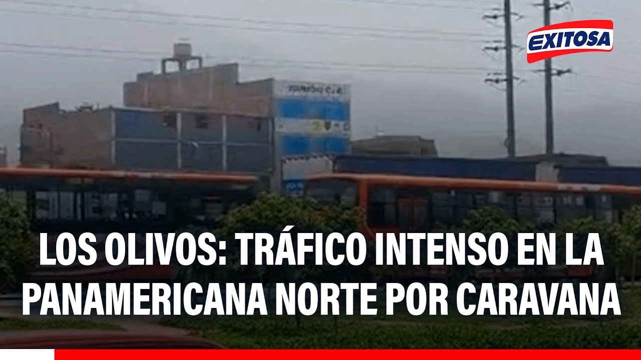 🔴🔵 Los Olivos: Tráfico intenso en la Panamericana Norte por caravana de buses de transporte