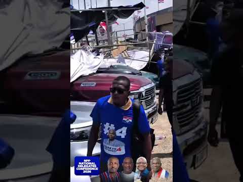 NPP Chairmanship Aspirant’s Billboard Falls, Damages Four Vehicles