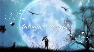 Reaching Out 2 U (Todos Bajo La Misma Luna) de OTTMAR LIEBERT interpretada por ANTONIO MOSQUEDA