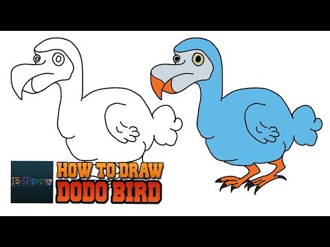 How To Draw A Dodo Bird | Cartoon Dodo Bird for Kids...