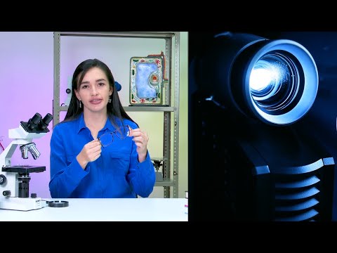 Optical Instruments | 3rd Grade Teleclasses