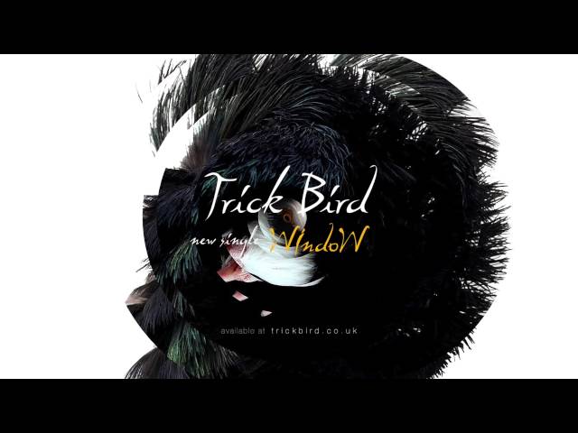 Trick Bird - Window (CBM) (Remix Stems)