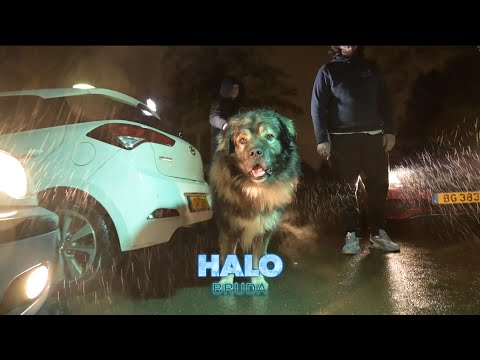 TROKA X BROOZE - Halo Bruda (prod. by demn!)