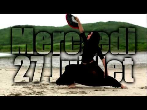 Stage De Danse a Paris Avec Iron LIONNY Mercredi 27 Juillet1