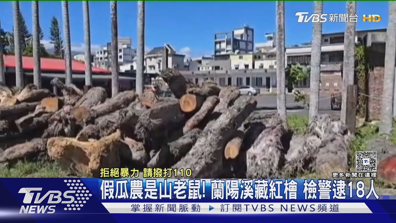 蘭陽溪驚爆盜木案!嫌犯租地藏紅檜 懷疑同夥私吞竟囚禁毆打