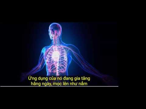 2017 02 05 AM Public Teaching in Vietnamese - Buổi giảng công cộng bằng tiếng Việt