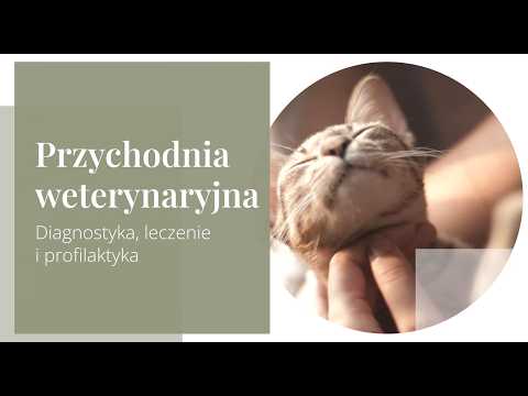 Przychodnia Weterynaryjna Krzycka - video