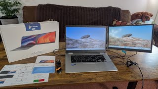 Domyfan 14" Ultra-Thin FHD IPS Dual Portable Laptop Monitor Review 