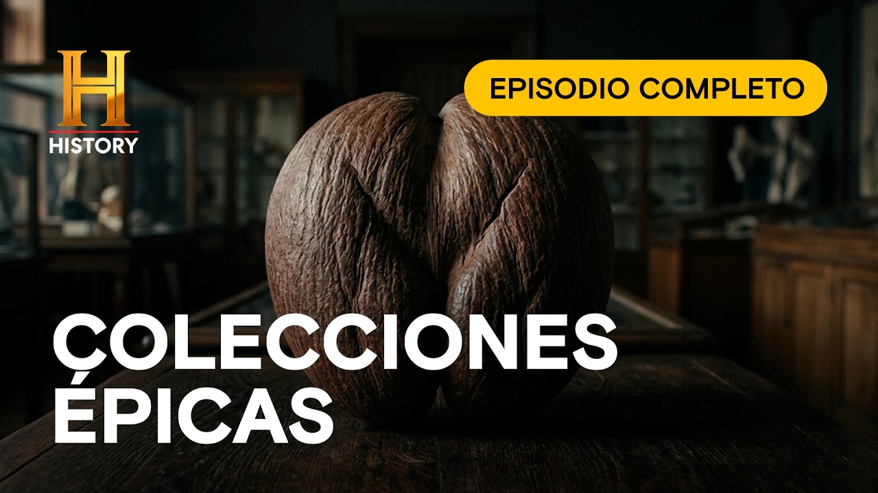 Gastaron BILLONES en rarezas - COLECCIONES ÉPICAS - Derrochadores Ancestrales - Episodio Completo